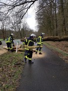 News: LZ Nord: Technische Hilfe Baum auf Fahrbahn (Altenberg) (16.03.2019, 15:49 Uhr)