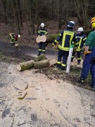 News: LZ Nord: Technische Hilfe Baum auf Fahrbahn (Altenberg) (16.03.2019, 15:49 Uhr)