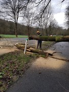 News: LZ Nord: Technische Hilfe Baum auf Fahrbahn (Altenberg) (16.03.2019, 15:49 Uhr)