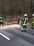 News: LZ Nord: Technische Hilfe Baum auf Fahrbahn (Altenberg) (16.03.2019, 15:49 Uhr)