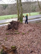 News: LZ Nord: Technische Hilfe Baum auf Fahrbahn (Altenberg) (16.03.2019, 15:49 Uhr)