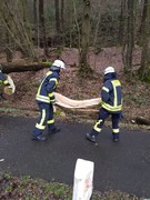 News: LZ Nord: Technische Hilfe Baum auf Fahrbahn (Altenberg) (16.03.2019, 15:49 Uhr)