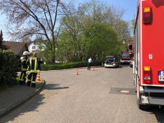 News: LZ Nord & Süd: Gasauströmung (Osenau) (15.04.2019, 11:31 Uhr)