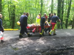 News: LZ Nord: Tragehilfe für den Rettungsdienst (Schöllerhof) (19.05.2019, 12:07 Uhr)