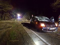 News: LZ Nord, LG Scheuren: Technische Hilfe Baum auf PKW (Odenthal) (16.02.2020, 18:51 Uhr)