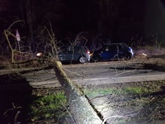 News: LZ Nord, LG Scheuren: Technische Hilfe Baum auf PKW (Odenthal) (16.02.2020, 18:51 Uhr)