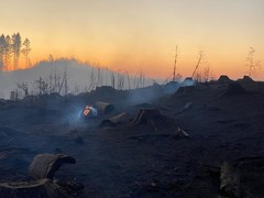 News: LG Scheuren: Überörtliche Hilfe Waldbrand (Gummersbach) (21.04.2020, 00:13 Uhr)