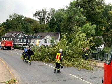 News: LG Voiswinkel, LZ Nord: Technische Hilfe Baum (Odenthal)