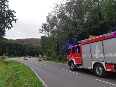 News: LG Scherf: Technische Hilfe Baum auf Fahrbahn (Funkenhof)