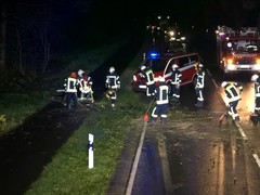 News: LZ Nord: Technische Hilfe Baum (Altenberg) (04.10.2020, 22:54 Uhr)