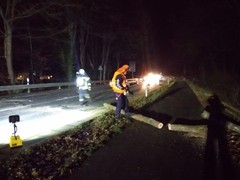 News: LZ Blecher: Technische Hilfe Baum (Altenberg) (21.01.2021, 06:22 Uhr)