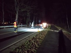 News: LZ Blecher: Technische Hilfe Baum (Altenberg) (21.01.2021, 06:22 Uhr)