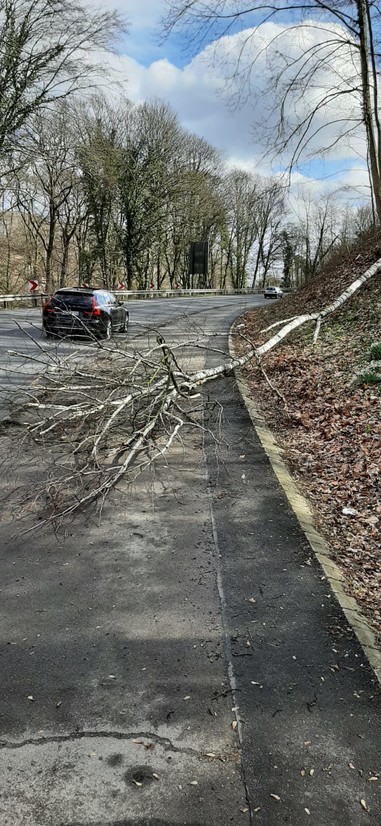 News: LG Voiswinkel, LG Scherf: Technische Hilfe Baum (Funkenhof)