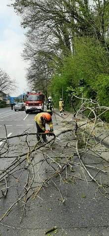 LG Voiswinkel, LZ Blecher: Technische Hilfe Baum (Osenau)