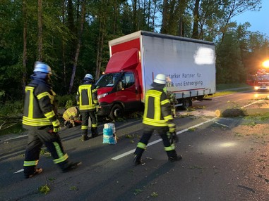 News: LZ Nord, LG Voiswinkel: Technische Hilfe Baum auf LKW (Altenberg)