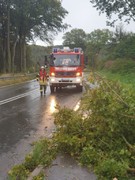 News: LZ Blecher: Technische Hilfe Baum (Blecher) (29.09.2021, 15:26 Uhr)