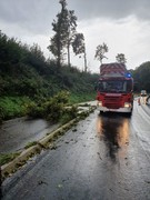 News: LZ Blecher: Technische Hilfe Baum (Blecher) (29.09.2021, 15:26 Uhr)