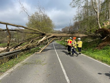 News: LG Scherf: Technische Hilfe Baum auf Fahrbahn (Scherfbachtal)