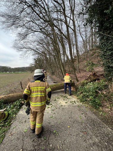 News: LZ Blecher: Technische Hilfe Baum (Schöllerhof)