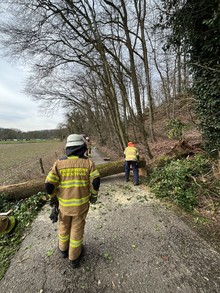 LZ Blecher: Technische Hilfe Baum (Schöllerhof)