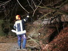 News: LZ Nord & Süd: Technische Hilfe (Gesamtes Gemeindegebiet) (10.03.2019, 14:47 Uhr)