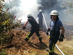 News: LZ Nord, LG Voiswinkel: Flächenbrand (Blecher) (25.07.2019, 14:19 Uhr)