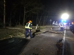 News: LZ Nord, LG Scheuren: Technische Hilfe Baum auf PKW (Odenthal) (16.02.2020, 18:51 Uhr)