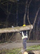 News: LZ Nord, LG Scheuren: Technische Hilfe Baum auf PKW (Odenthal) (16.02.2020, 18:51 Uhr)