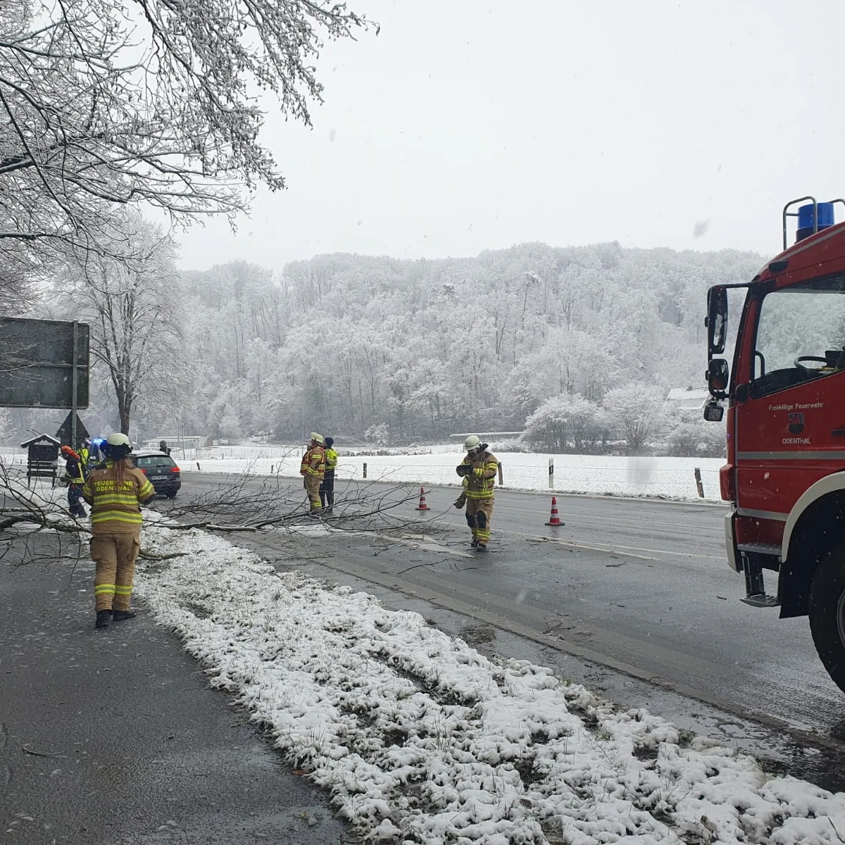 News: LZ Blecher: Technische Hilfe Baum (Odenthal)