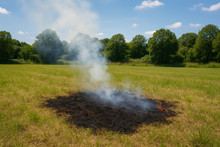 LZ Blecher, LG Voiswinkel, LG Scherf: Vegetationsbrand (Odenthal)